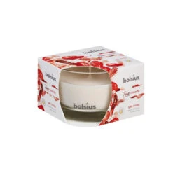 Bolsius True Scents Geurkaars In Glas Appel-kaneel 63x90 Mm