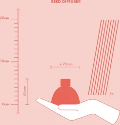 Bolsius True Scents - Geurstokjes - Magnolia - 3 Stuks - Voordeelverpakking - 45ml -Bolsius 1151x1200 20