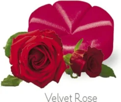 Bolsius Creations Geurchips Zak 10 Velvet Rose
