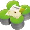 Bolsius - Maxi Theelicht - Green Apple