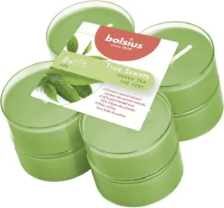 Bolsius Geur Maxitheelichten 8 Uur Pak A 8st True Scents Green Tea