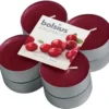 Bolsius - Maxi Theelicht - Wild Cranberry