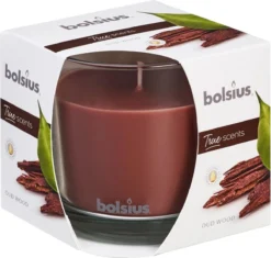 Bolsius 2 Stuks Geurglas 95/95 True Scents Oud Wood