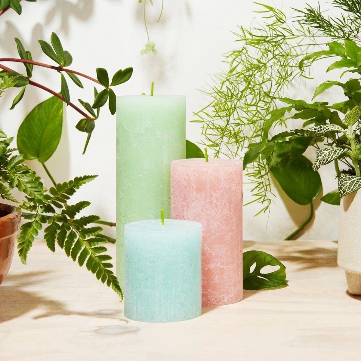 Bio Kaars - Bolsius Rustiek Stompkaars - Divine Earth Aarde - 130/68mm 2 Bio Kaars - Bolsius Rustiek Stompkaars - Divine Earth Aarde - 130/68mm - Afbeelding 2