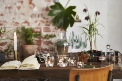 Bolsius - Theelichten - 100 Stuks -Bolsius 1200x800 5