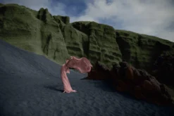 Bolsius Unity - Geurkaars - Goddess Of Nature - Medium - 258g 11 Bolsius Unity - Geurkaars - Goddess Of Nature - Medium - 258g -Bolsius 1200x802 1