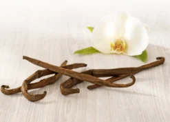 Bolsius Geurkaarsen Geribbeld 6 St 120x58 Mm Vanille -Bolsius 1200x859