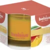 Bolsius Geurglas 63/90 True Scents Mango