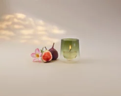 Bolsius Geurkaars Clean Light Starterkit Gardenia / Fig -Bolsius 1200x959 6