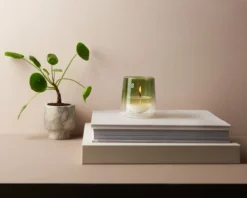 Bolsius Geurkaars Clean Light Starterkit Gardenia / Fig -Bolsius 1200x960 4