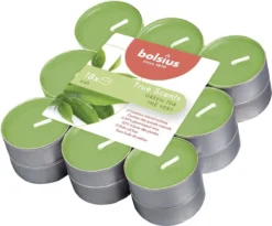 Bolsius - Geurtheelichtjes 'True Scent' - 18 Stuks, 4 Branduren Per Theelichtje, Green Tea