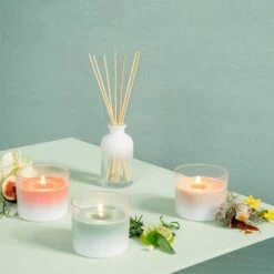 Bolsius True Joy Geurglas Met Kurk OrientalSoftness 66x83 Mm -Bolsius 160 0379 2 1 1