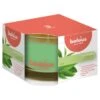 Bolsius Geurglas 63/90 True Scents Green Tea