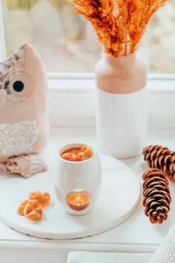 Bolsius Wax Melts - Apple Cinnamon - 36x Melts - VOORDEELVERPAKKING - Bolsius True Scents -Bolsius 800x1200 32