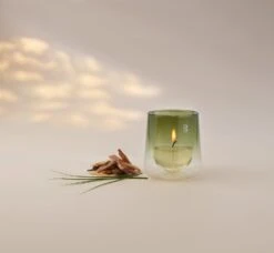 Bolsius Geurkaars CleanLight Navulling Cedarwood & Vetiver 20 Uur D 5,5 H 11,6 Cm 2 Stuks -Bolsius 8717847157232 3