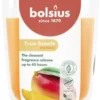Bolsius Geurkaars True Scents Mango Oranje 45 Uur D 8,4 H 5,2 Cm