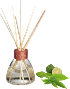 Bolsius True Scents Aromatherapie Geurstokjes - Verspreider - Huisparfum - Groene Thee- Voordeelbundel - 4 Stuks -Bolsius 945x1200