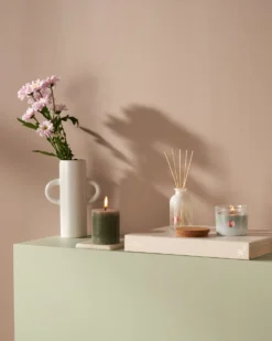 Bolsius - True Joy - 6 Geurkaarsen Met Kurken Deksel - Botanic Freshness - Groen - Voordeelverpakking - Geurkaars - Paasdecoratie -Bolsius 959x1200 5